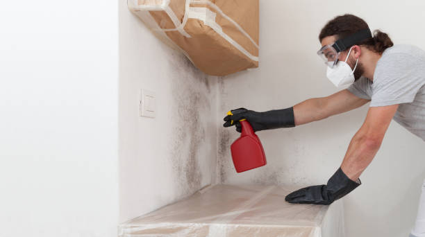 Professional Bathroom Mold Removal technician working in Roanoke, VA
