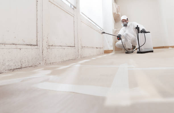 24/7 Emergency Bathroom Mold Removal experts in Roanoke, VA